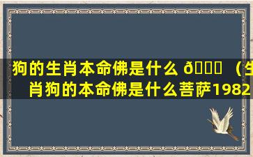 狗的生肖本命佛是什么 💐 （生肖狗的本命佛是什么菩萨1982光音）